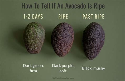 Once you have secured the goods, you'll want to add about two to three inches of white flour at the bottom of a paper bag. Next, set your avocado on top. Roll the top of the bag a few times to ...
